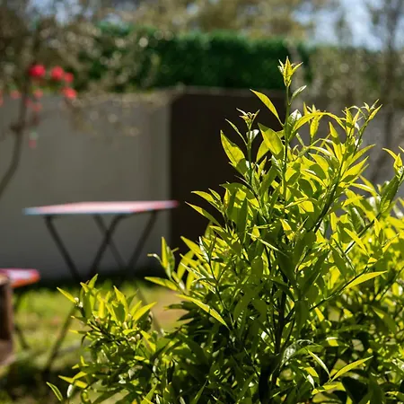 Zirve Premium - Luxury Vacation With Private Pool Villa Kocaeyuep