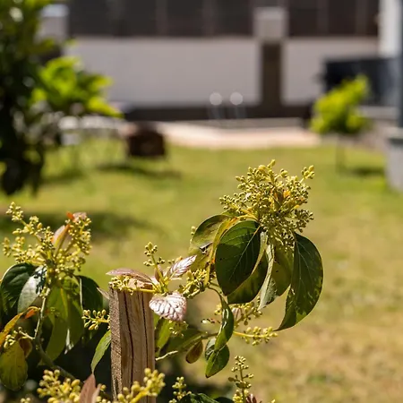Zirve Premium - Luxury Vacation With Private Pool Villa *